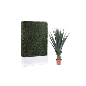 Boxwood & Plant Decor