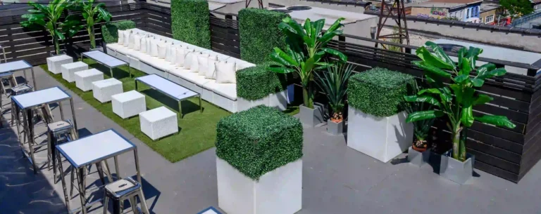 Savoy Collection Boxwood