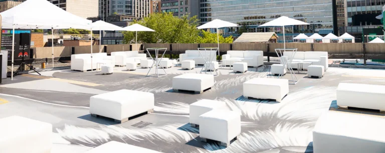 Social Event Furniture Rentals - Image 8