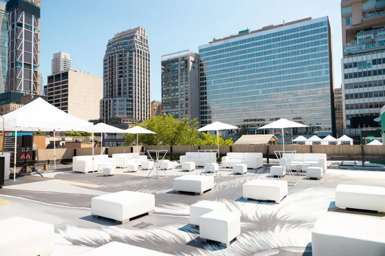 Social Event Furniture and Decor Rentals - 20