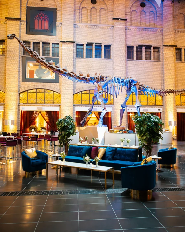 Social Event Furniture and Decor Rentals - 28