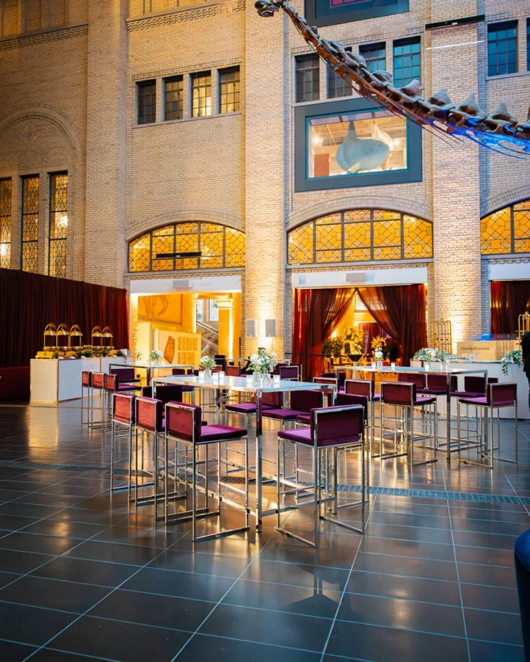 Social Event Furniture and Decor Rentals - 29