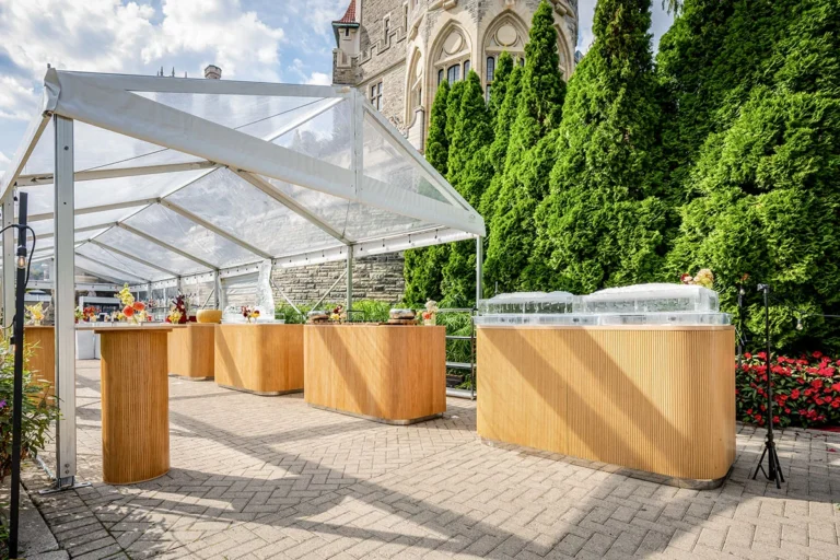 Social Event Furniture and Decor Rentals - 4