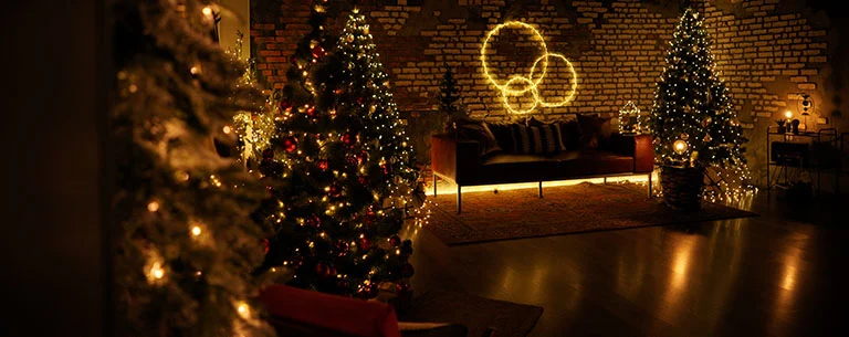 Holiday Party Rentals - Slide 5